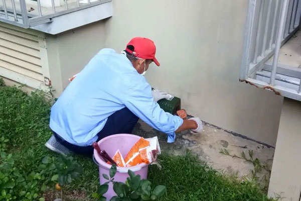 滅鼠哪個好承諾守信