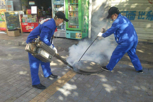捕鼠服務熱線