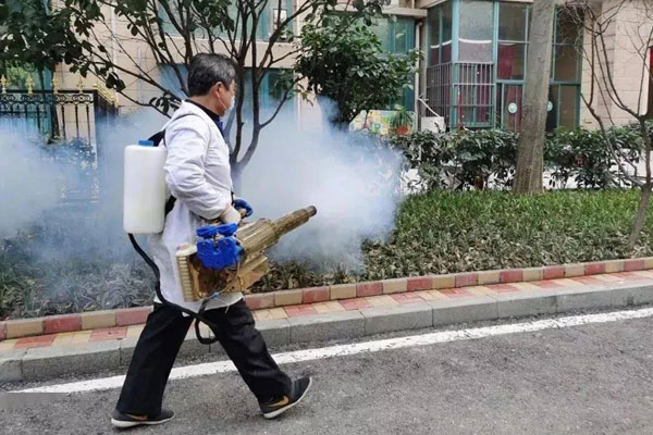 滅鼠哪里不錯產品展示
